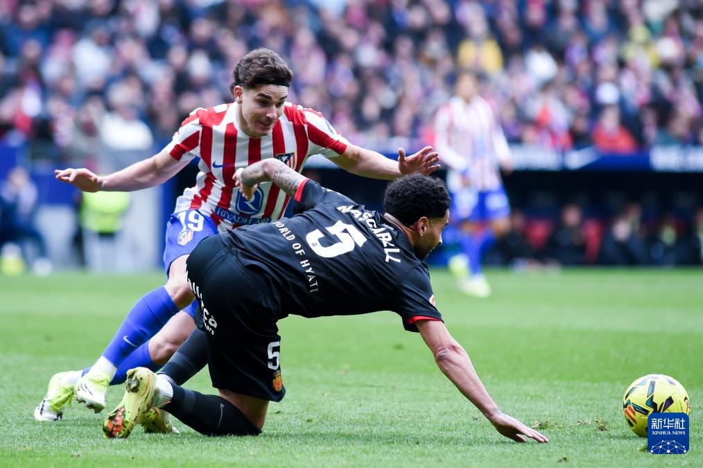 NBA赛季走势深度分析